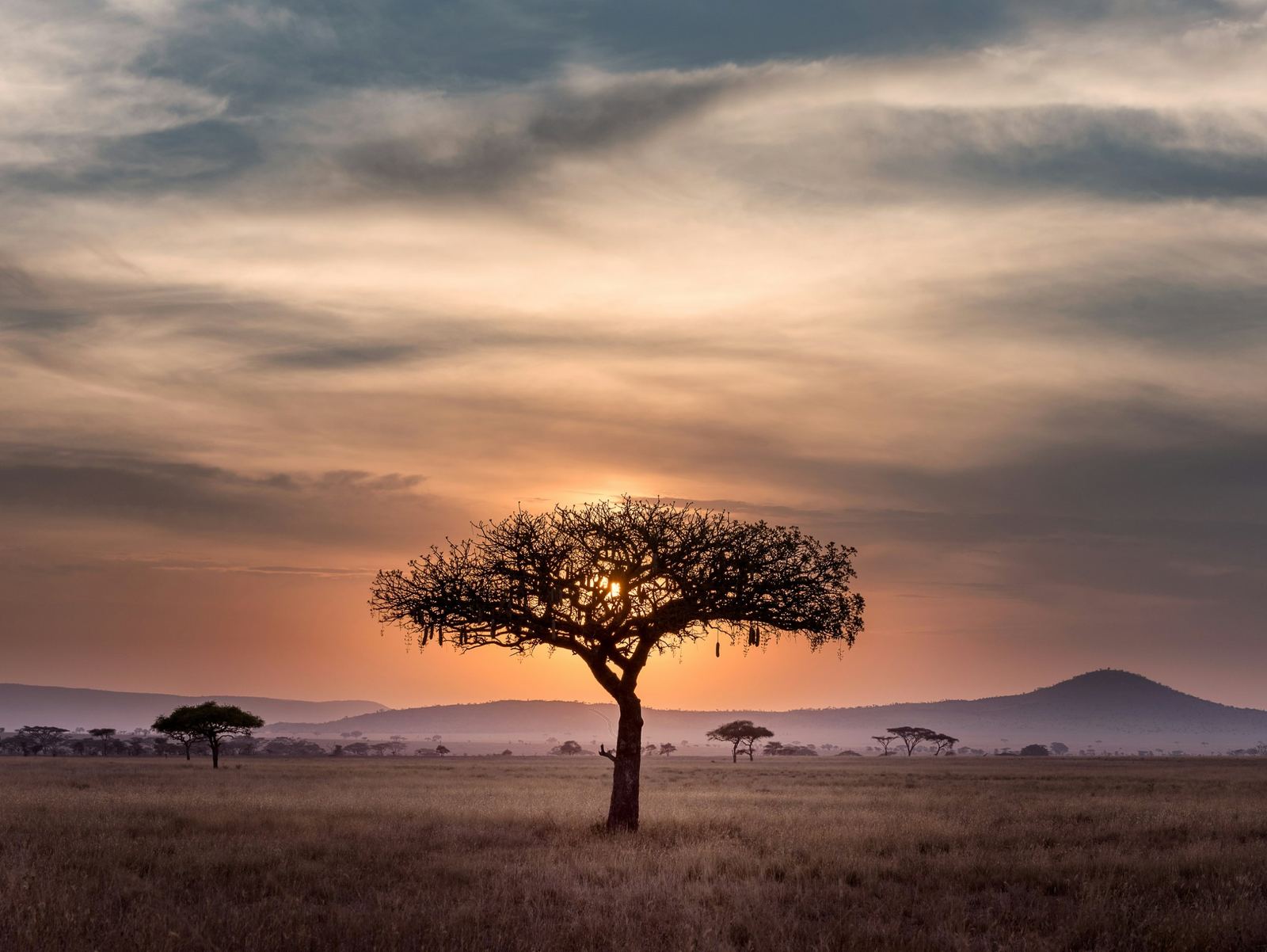 Safari dans le Serengeti au coucher du soleil